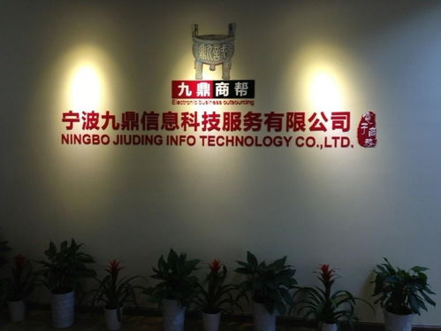 宁波九鼎信息科技 数字化浪潮中的智慧咨询领航者