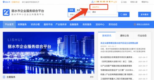 丽水企业 2021年中小微企业服务券申领正式启动，助力信息技术咨询服务发展